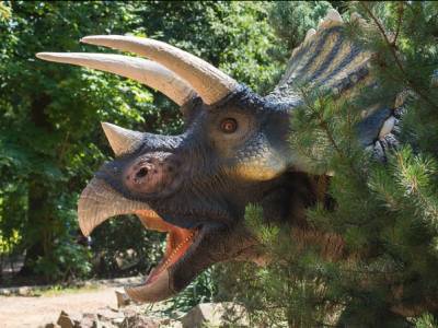 Ученые назвали наиболее вероятную причину вымирания динозавров