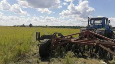 В Камешкирском районе мужчину насмерть придавило трактором в поле