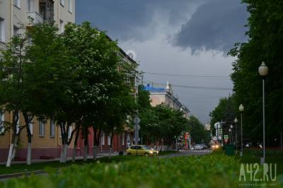 В Кузбассе в последние дни июля прогнозируют грозы, дожди и туманы