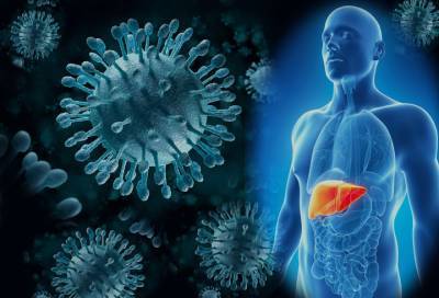 Заболеваемость гепатитом в Ленобласти стабильно снижается
