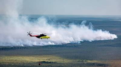 Площадь лесных пожаров в России превысила 67 тыс. га