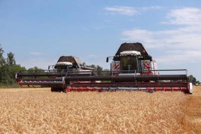 Ставрополье завершило уборку зерновых с урожаем 5,2 млн тонн
