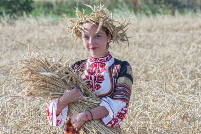 Уборка зерновых культур стартовала в Подмосковье
