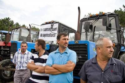 Молдавские фермеры протестуют: «Не видим помощи государства!»