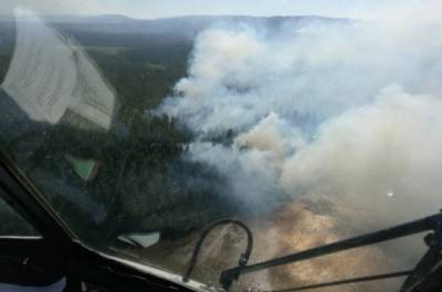 Площадь лесных пожаров в России за неделю возросла больше чем в 2 раза