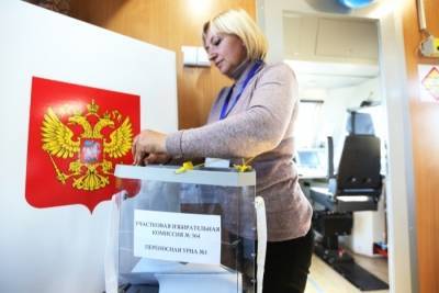 Жители Ярославской и Курской областей смогут участвовать в довыборах депутатов Госдумы удаленно