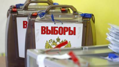 На довыборах в Госдуму в Ярославской и Курской областях пройдет онлайн-голосование