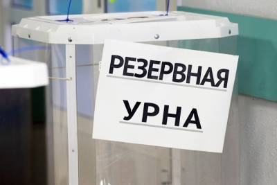 ЦИК предложил онлайн-выборы в Ярославской и Курской областях