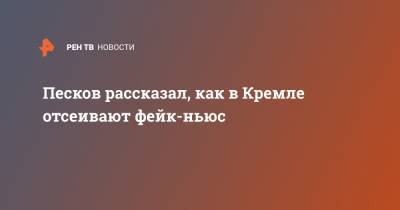 Песков рассказал, как в Кремле отсеивают фейк-ньюс