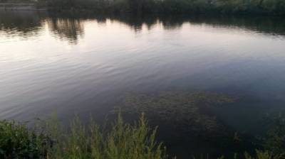В Сосновоборском районе 58-летний мужчина утонул в Шкудимке