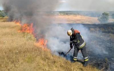 В Днепропетровской области за сутки возникло 85 пожаров на открытых территориях
