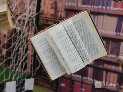 Две модельные библиотеки создадут в Нижегородской области до конца года