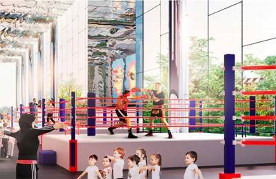 В центре самбо и бокса в "Лужниках" появится уникальная система зеркальных потолков