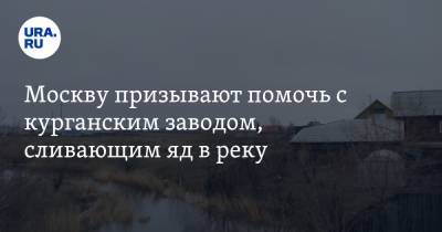 Москву призывают помочь с курганским заводом, сливающим яд в реку