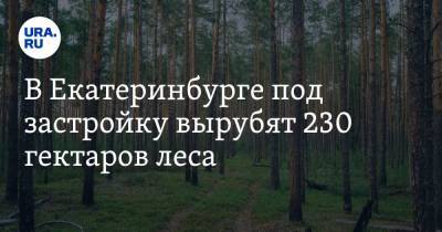 В Екатеринбурге под застройку вырубят 230 гектаров леса. Это приведет к новым протестам
