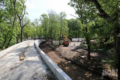 На реконструкцию парка «Орлёнок» в Воронеже добавят ещё 39 млн