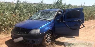 В Волгоградской области расследуют гибель восьми человек в Renault Logan