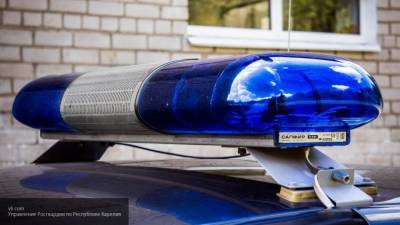 Полицейские разыскивают голого Тарзана в Саратове