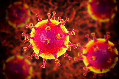 В мире зафиксирована вспышка еще более агрессивного типа коронавируса - Cursorinfo: главные новости Израиля