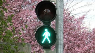 В Кронштадте в четырех местах появятся светофоры