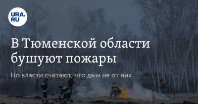 В Тюменской области бушуют пожары. Но власти считают, что дым не от них
