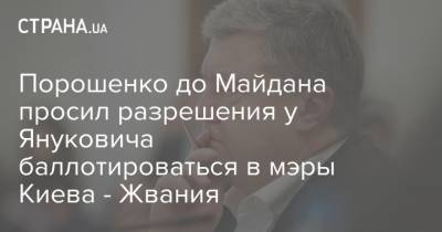 Порошенко до Майдана просил разрешения у Януковича баллотироваться в мэры Киева - Жвания