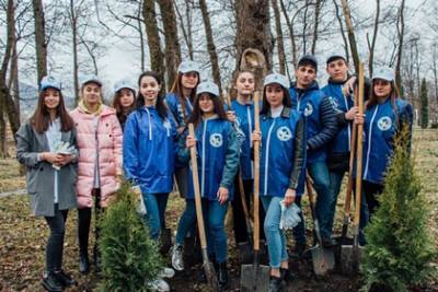 Более 27 миллионов деревьев высадили в память о погибших в Великой Отечественной