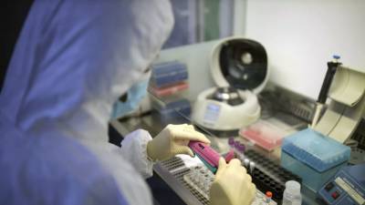Роспотребнадзор изучит данные о коронавирусе во Вьетнаме - russian.rt.com - Россия - Приморье край - Vietnam - Дананг