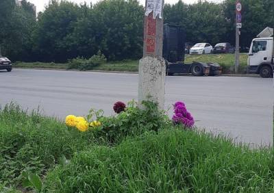 Рязанка добивается создания перехода на месте гибели школьника в Дашково-Песочне