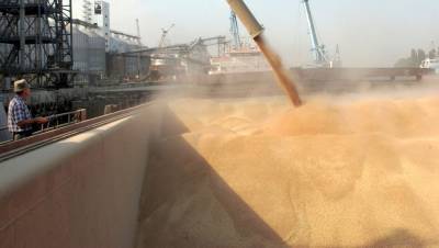Петербург нарастил экспорт зерна