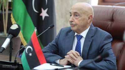 Салех выступил перед парламентом Марокко с инициативой по урегулированию кризиса в Ливии