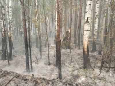 В Советском районе Югры, полыхающие леса которого облетали федеральные министры, снова ввели режим ЧС