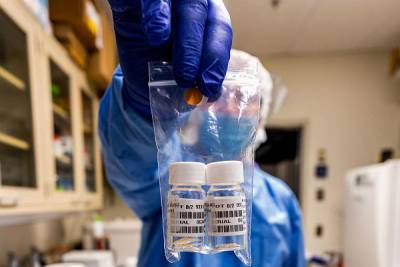 В США стартовали крупнейшие в мире испытания вакцины от COVID-19