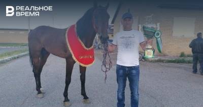 «Корабли» в Чистопольском районе, лошадь-победитель из Новошешминского района: новое в «Инстаграмах» глав районов Татарстана 27 июля