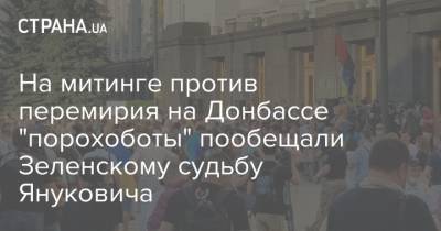 На митинге против перемирия на Донбассе "порохоботы" пообещали Зеленскому судьбу Януковича