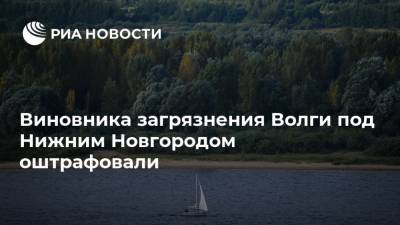 Виновника загрязнения Волги под Нижним Новгородом оштрафовали