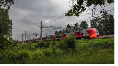 "Ласточки" будут останавливаться на станции Орехово в Ленобласти