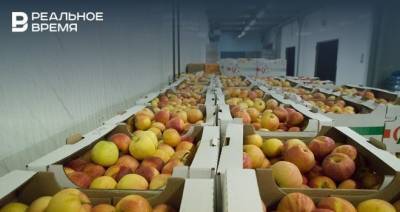 В Татарстане за первую половину года изъяли более 800 кг некачественных овощей и фруктов