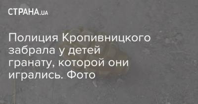 Полиция Кропивницкого забрала у детей гранату, которой они игрались. Фото