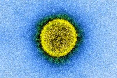 Ученые зафиксировали вспышку нового коронавируса