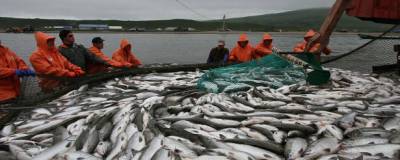 Магаданская область экспортировала рыбную продукцию на $56,8 млн