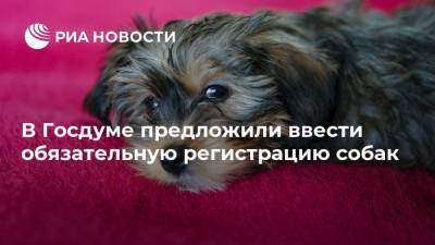 В Госдуме предложили ввести обязательную регистрацию собак