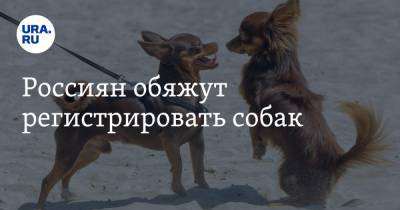 Россиян обяжут регистрировать собак
