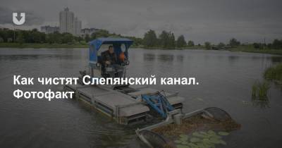 «Работа специфическая: жара, высокие берега». Как в Минске чистят Слепянский канал (и не только)