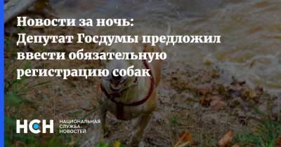 Новости за ночь: Депутат Госдумы предложил ввести обязательную регистрацию собак