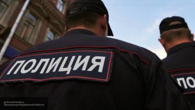Полиция Хабаровска изъяла топор и ножи на несогласованном митинге в Хабаровске
