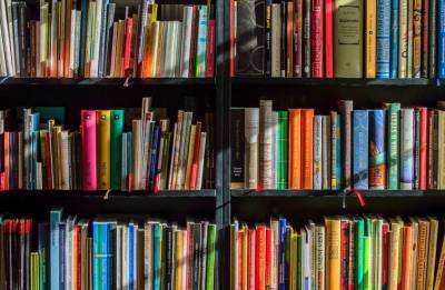 Книги с маркировкой "18+" должны исчезнуть из общего доступа в библиотеках