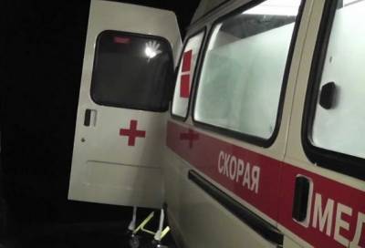 Появилось видео момента ДТП с двумя погибшими пешеходами в Воронежской области