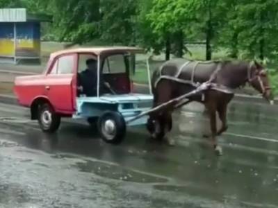 «Форд Мустанг эконом»: В Ровно заметили лошадь, которая тащила часть старой советской машины