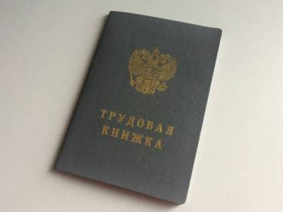 Большинство россиян отказались бы от электронной трудовой книжки в пользу бумажной